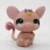 Littlest Petshop Rotta #565