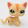 Littlest Petshop seisova Kissa #1905