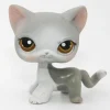 Littlest Petshop seisova Kissa #138