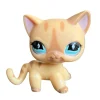 Littlest Pet Shop seisova Kissa #886 - Second Hand