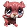Littlest Pet Shop Shar-pei #57 - Second Hand