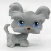 Littlest Petshop Shih Tzu koira #227