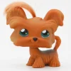 Littlest Pet Shop Shih Tzu koira #6 - Second Hand
