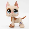 Littlest Petshop Tanskandog #1647
