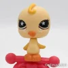 Littlest Petshop Undulaatti #955