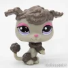 Littlest Petshop Villakoira #2240
