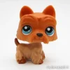 Littlest Petshop Ylämaanterrieri #249