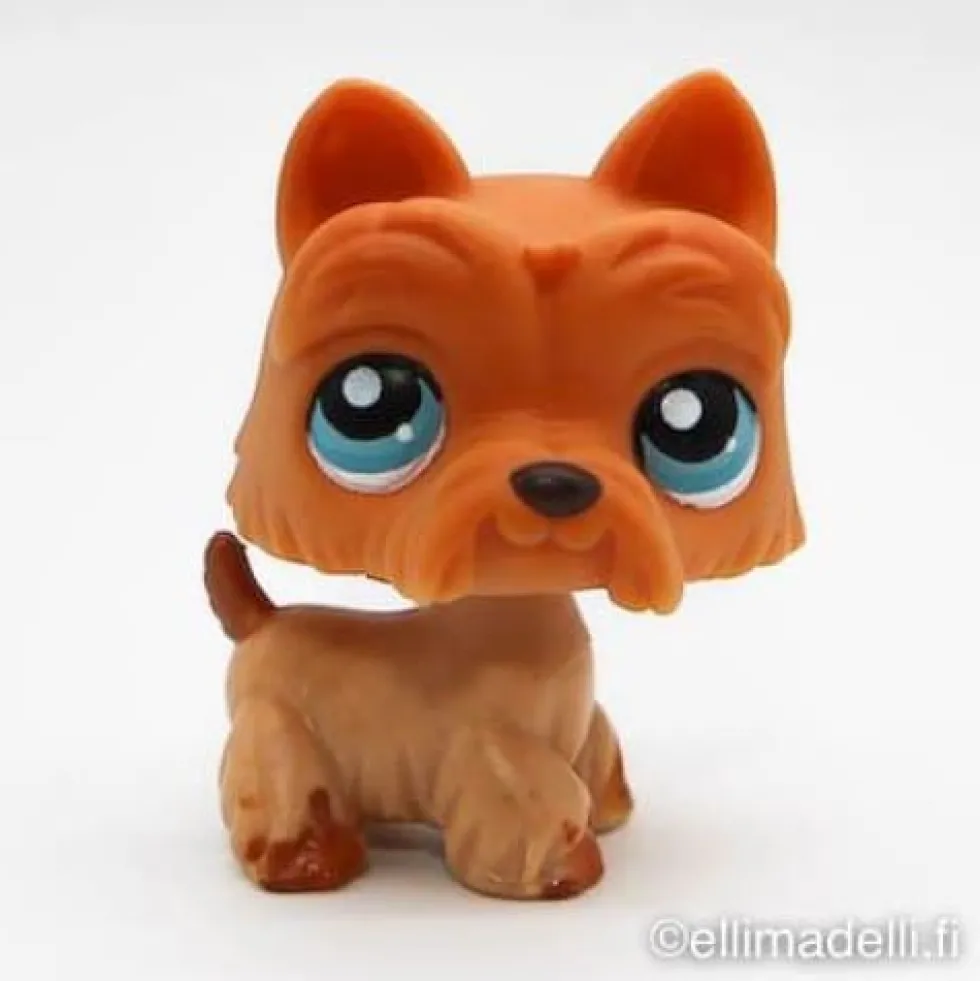 Littlest Petshop Ylämaanterrieri #249