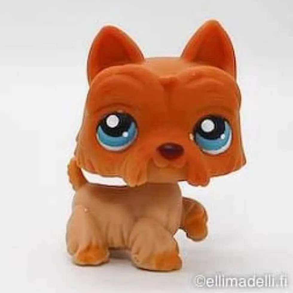 Littlest Petshop Ylämaanterrieri #249