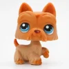 Littlest Petshop Ylämaanterrieri #249