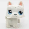 Littlest Petshop Ylämaanterrieri koira #24