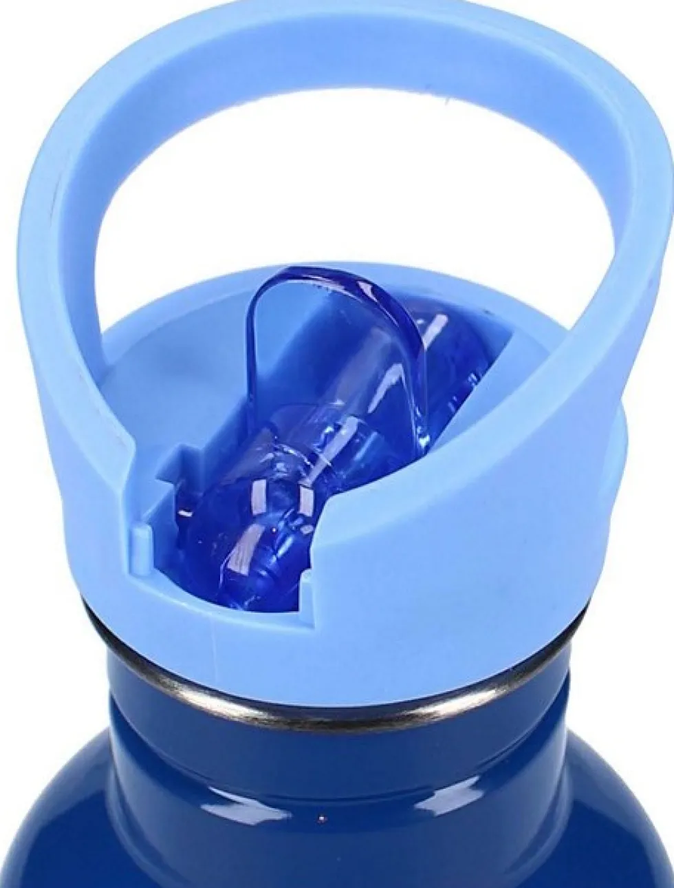 Metallinen juomapullo 500ml - Wild Dino