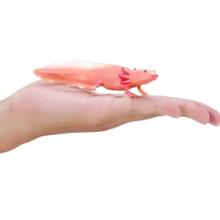 Mojo Axolotl