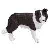 Mojo Border Collie