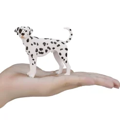 Mojo Dalmatian koira