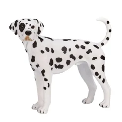 Mojo Dalmatian koira