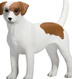 Mojo Jack Russell terrieri koira