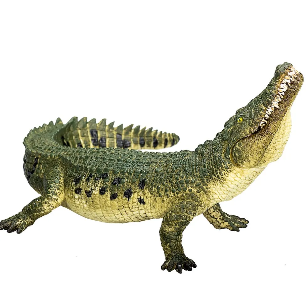 Mojo Krokotiili