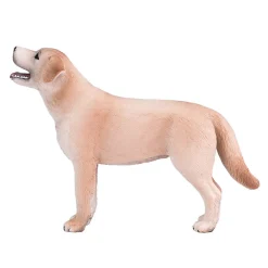 Mojo Labradorin koira