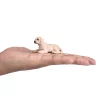 Mojo Labradorin koiran pentu