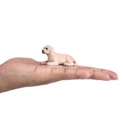 Mojo Labradorin koiran pentu