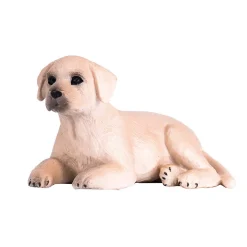 Mojo Labradorin koiran pentu