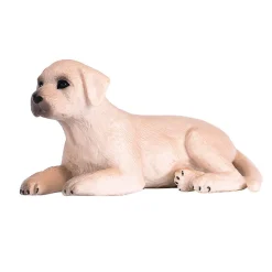 Mojo Labradorin koiran pentu