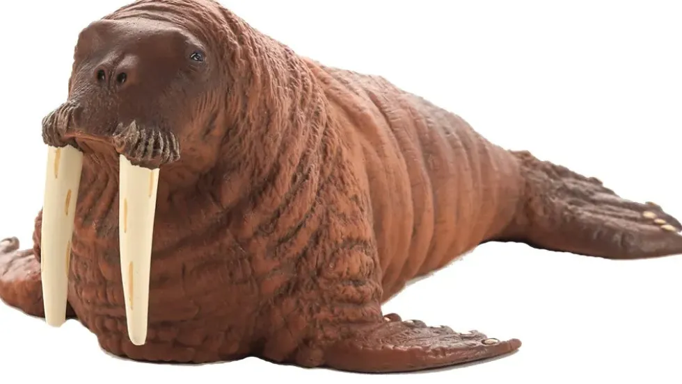 Mojo Mursu
