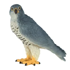 Mojo Muuttohaukka