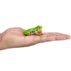Mojo Punasilmälehtisammakko