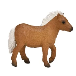 Mojo Shetlannin poni varsa