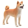 Mojo Shiba Inu koira vaalea