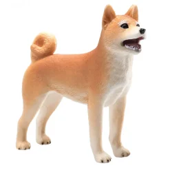 Mojo Shiba Inu koira vaalea