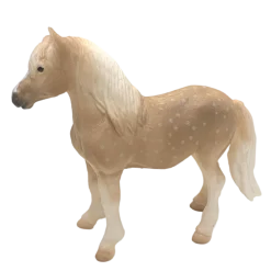 Mojo Walesin poni