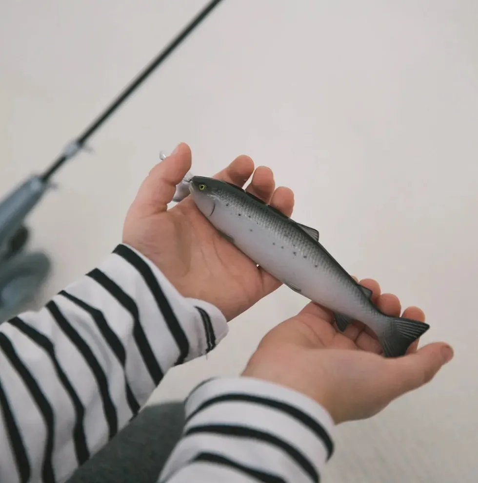 Nuuskamuikkusen kalastus leikki magneetilla ja 5 kalaa