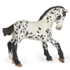 Papo 51540 Appaloosa varsa