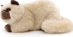 Persialainen / Siamilainen Kissa pehmolelu 31cm