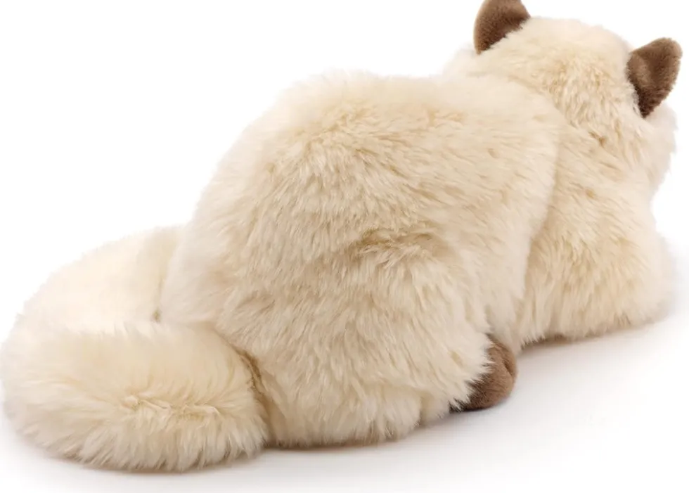 Persialainen / Siamilainen Kissa pehmolelu 31cm