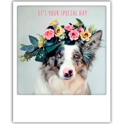 Pick Motion "It´s your special day" Koira kortti