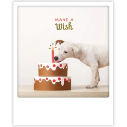 Pick Motion Koira "Make a Wish" -kortti