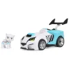 Ryhmä Hau Cat Pack Rory kissa ja kilpa-auto