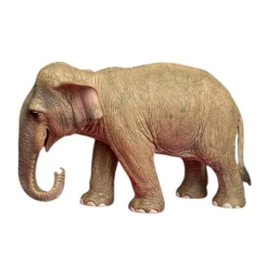Schleich Aasian norsu 14654 - Second Hand
