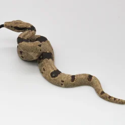 Schleich Boa käärme 14739 - Second Hand