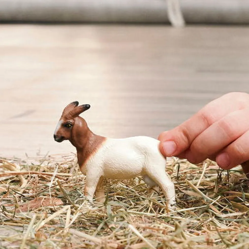Schleich 14929 Boer vuohi
