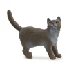 Schleich 13973 Brittiläinen lyhykarvainen Kissa