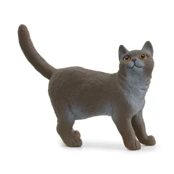 Schleich 13973 Brittiläinen lyhykarvainen Kissa