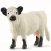 Schleich 13960 Galloway lehmä