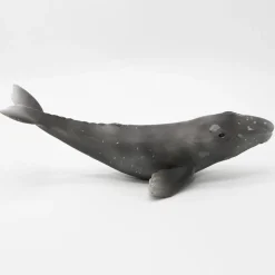 Schleich Harmaavalas poikanen 16083 - Second Hand