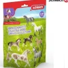 Schleich Horse Club yllätyspakkaus: series 4