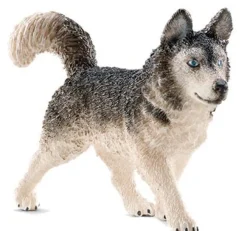 Schleich 16835 Husky koira - Second hand